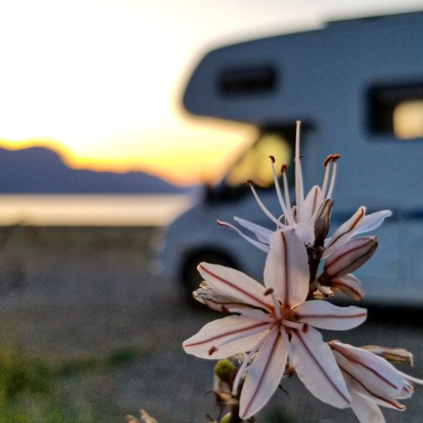 wohnmobilberatung